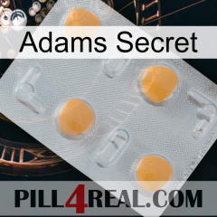 Adams Secret 24